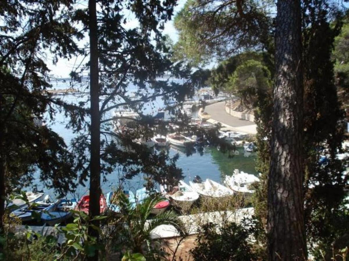 Apartments Besedic Mandre Kültér fotó